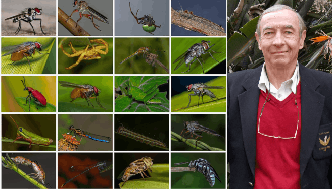 Professor Rob Hart and the panel of macro images that earned him a prestigious Fellowship of the Photographic Society of South Africa.